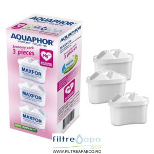 Set 3 cartuse Maxfor B25-Mg pentru cani filtrante